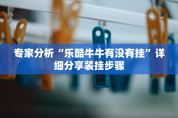 专家分析“乐酷牛牛有没有挂”详细分享装挂步骤