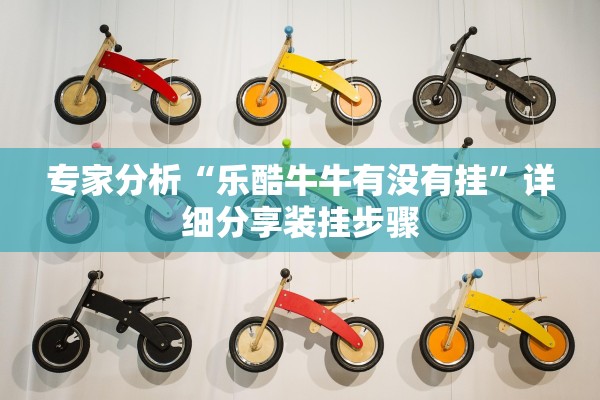 专家分析“乐酷牛牛有没有挂”详细分享装挂步骤