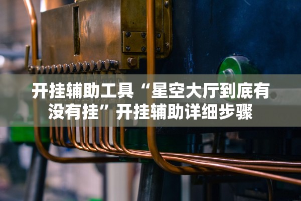 开挂辅助工具“星空大厅到底有没有挂”开挂辅助详细步骤