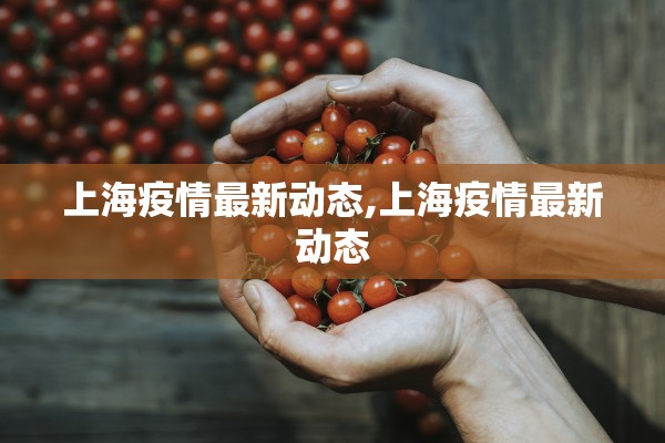 上海疫情最新动态,上海疫情最新动态