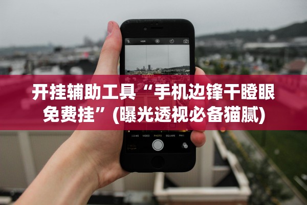 开挂辅助工具“手机边锋干瞪眼免费挂”(曝光透视必备猫腻)