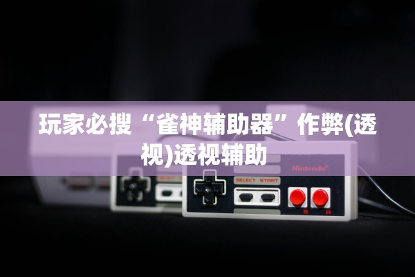 玩家必搜“雀神辅助器”作弊(透视)透视辅助 