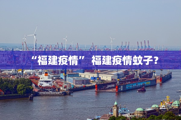 “福建疫情” 福建疫情蚊子？