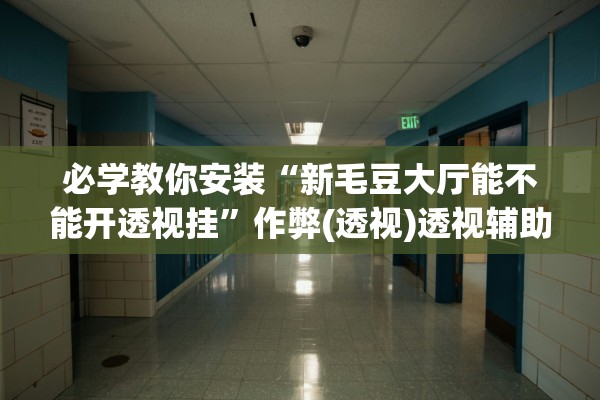 必学教你安装“新毛豆大厅能不能开透视挂”作弊(透视)透视辅助 