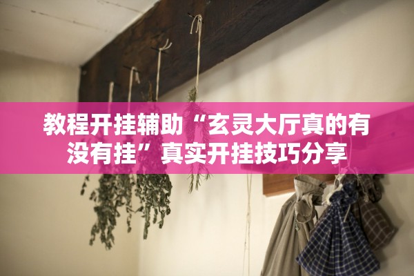 教程开挂辅助“玄灵大厅真的有没有挂”真实开挂技巧分享