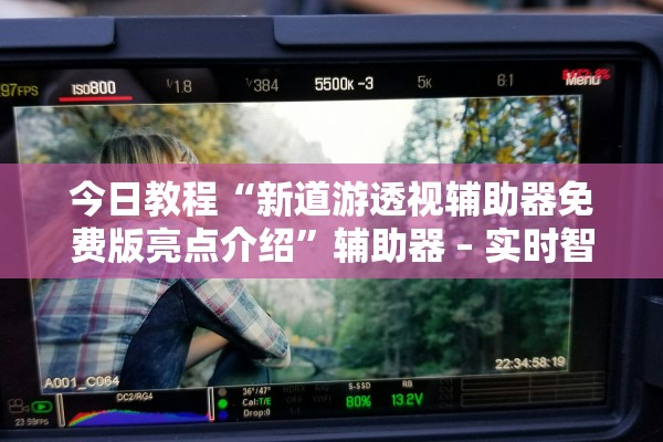 今日教程“新道游透视辅助器免费版亮点介绍”辅助器 – 实时智能回复