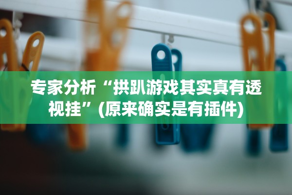 专家分析“拱趴游戏其实真有透视挂	”(原来确实是有插件)