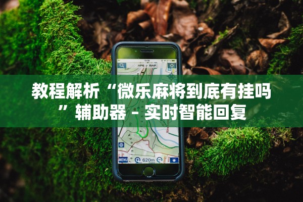 教程解析“微乐麻将到底有挂吗”辅助器 – 实时智能回复