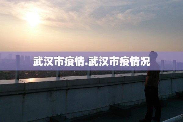 武汉市疫情.武汉市疫情况