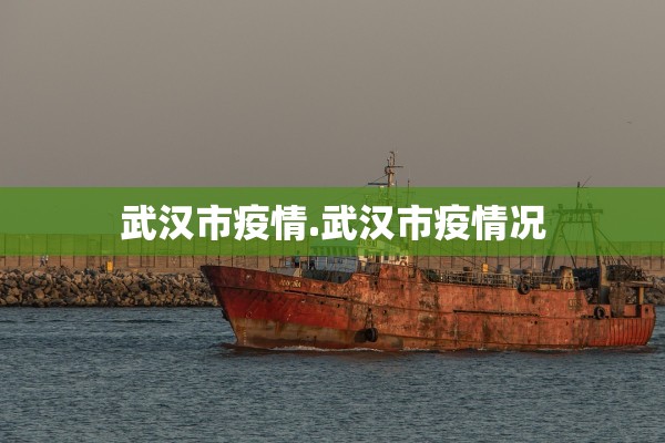 武汉市疫情.武汉市疫情况
