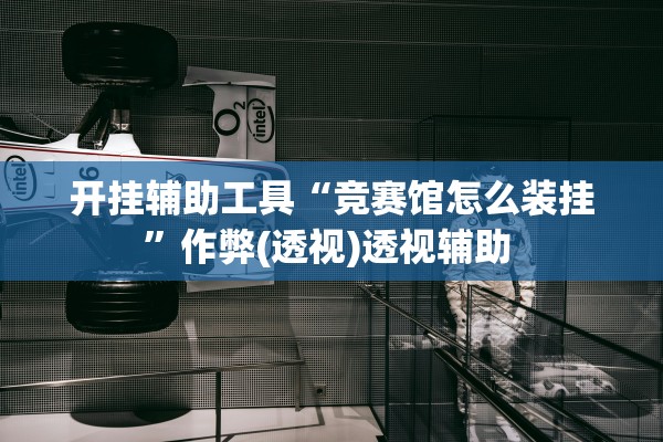 开挂辅助工具“竞赛馆怎么装挂	”作弊(透视)透视辅助 