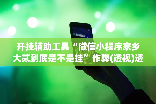 开挂辅助工具“微信小程序家乡大贰到底是不是挂	”作弊(透视)透视辅助 