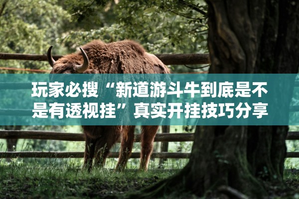 玩家必搜“新道游斗牛到底是不是有透视挂”真实开挂技巧分享