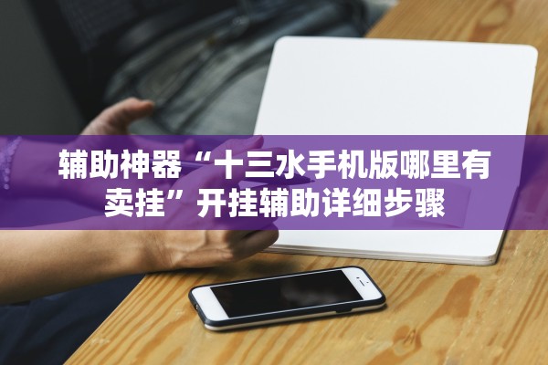 辅助神器“十三水手机版哪里有卖挂”开挂辅助详细步骤