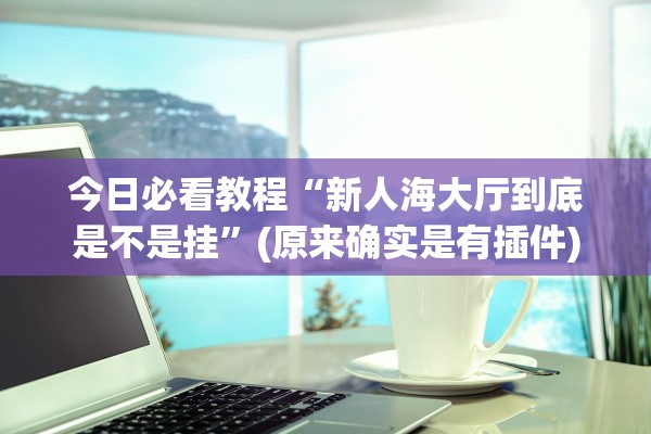 今日必看教程“新人海大厅到底是不是挂	”(原来确实是有插件)