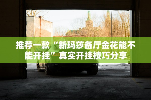 推荐一款“新玛莎备厅金花能不能开挂”真实开挂技巧分享