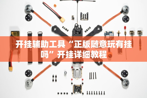 开挂辅助工具“正版随意玩有挂吗”开挂详细教程