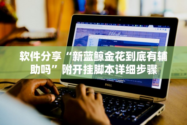 软件分享“新蓝鲸金花到底有辅助吗”附开挂脚本详细步骤