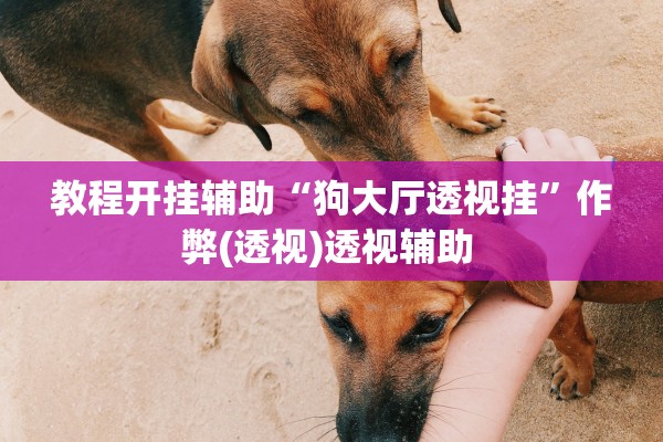 教程开挂辅助“狗大厅透视挂	”作弊(透视)透视辅助 