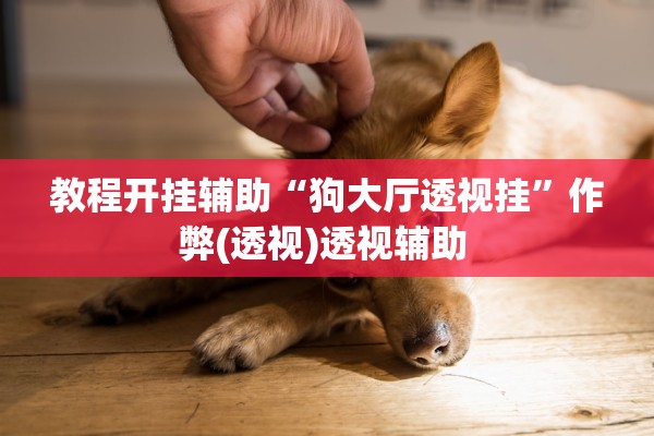 教程开挂辅助“狗大厅透视挂”作弊(透视)透视辅助 