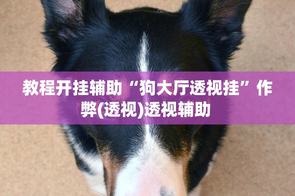 教程开挂辅助“狗大厅透视挂”作弊(透视)透视辅助 