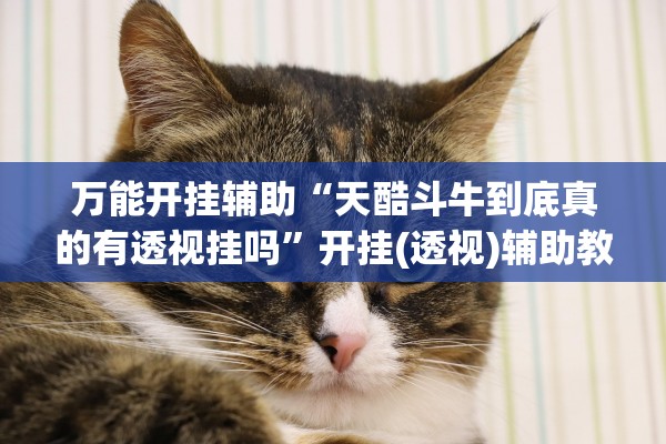 万能开挂辅助“天酷斗牛到底真的有透视挂吗	”开挂(透视)辅助教程