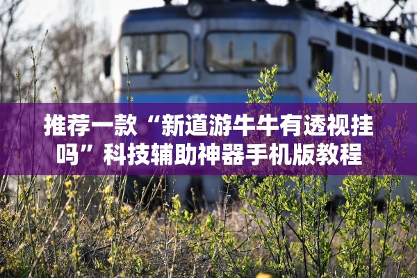 推荐一款“新道游牛牛有透视挂吗”科技辅助神器手机版教程