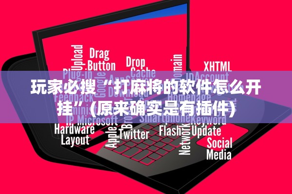 玩家必搜“打麻将的软件怎么开挂”(原来确实是有插件)