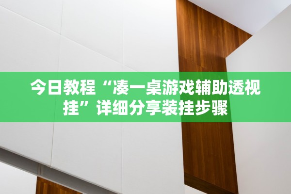 今日教程“凑一桌游戏辅助透视挂”详细分享装挂步骤