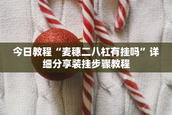 今日教程“麦穗二八杠有挂吗”详细分享装挂步骤教程