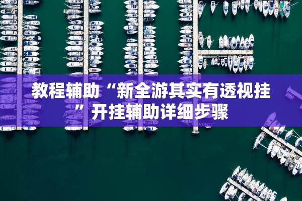 教程辅助“新全游其实有透视挂	”开挂辅助详细步骤