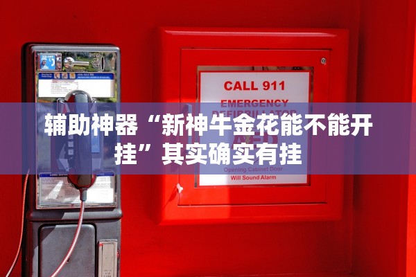 辅助神器“新神牛金花能不能开挂”其实确实有挂