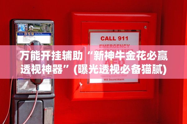 万能开挂辅助“新神牛金花必赢透视神器	”(曝光透视必备猫腻)