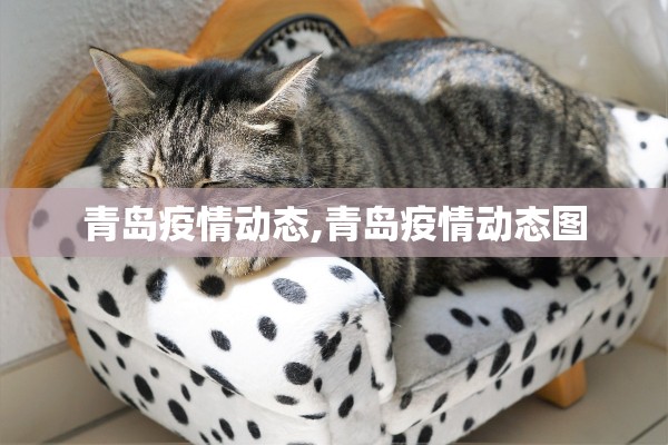 青岛疫情动态,青岛疫情动态图