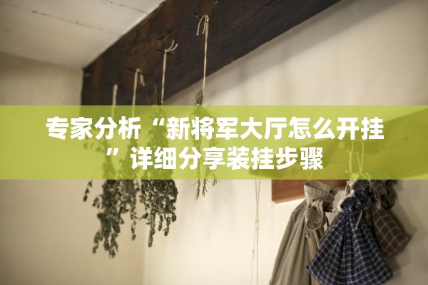 专家分析“新将军大厅怎么开挂	”详细分享装挂步骤