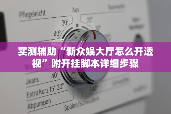 实测辅助“新众娱大厅怎么开透视”附开挂脚本详细步骤