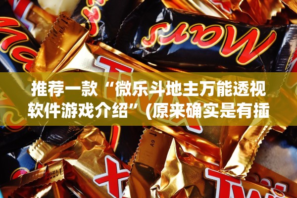 推荐一款“微乐斗地主万能透视软件游戏介绍”(原来确实是有插件) 