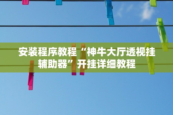 安装程序教程“神牛大厅透视挂辅助器”开挂详细教程
