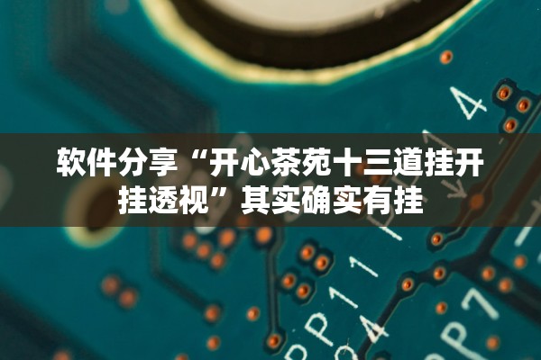 软件分享“开心茶苑十三道挂开挂透视”其实确实有挂