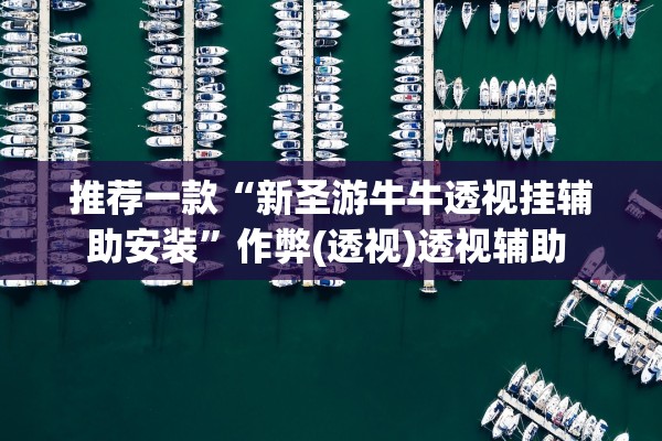 推荐一款“新圣游牛牛透视挂辅助安装	”作弊(透视)透视辅助 