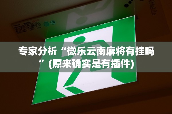 专家分析“微乐云南麻将有挂吗”(原来确实是有插件)