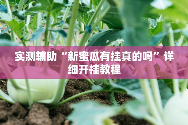 实测辅助“新蜜瓜有挂真的吗”详细开挂教程