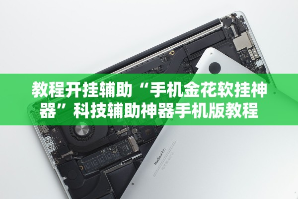 教程开挂辅助“手机金花软挂神器”科技辅助神器手机版教程