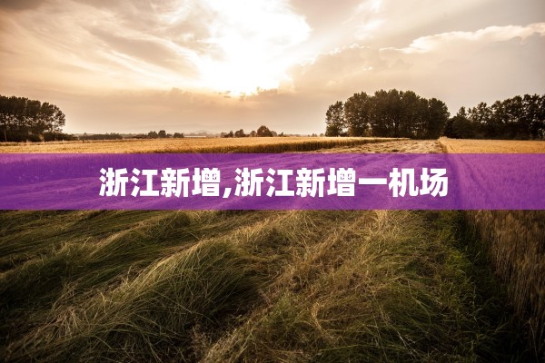 浙江新增,浙江新增一机场 浙江新增,浙江新增一机场
