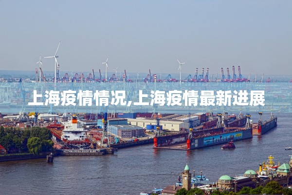 上海疫情情况,上海疫情最新进展