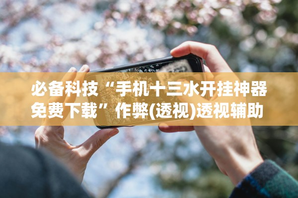 必备科技“手机十三水开挂神器免费下载”作弊(透视)透视辅助 