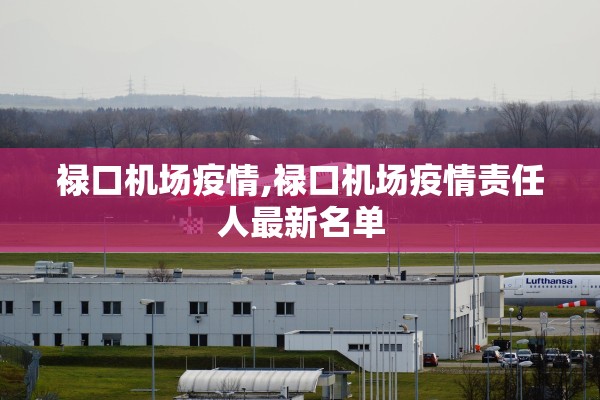 禄口机场疫情,禄口机场疫情责任人最新名单