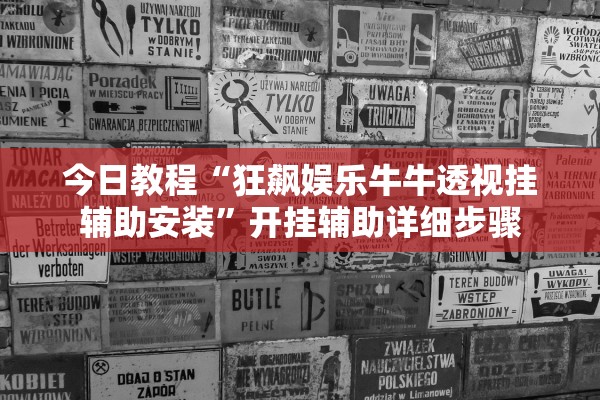 今日教程“狂飙娱乐牛牛透视挂辅助安装”开挂辅助详细步骤