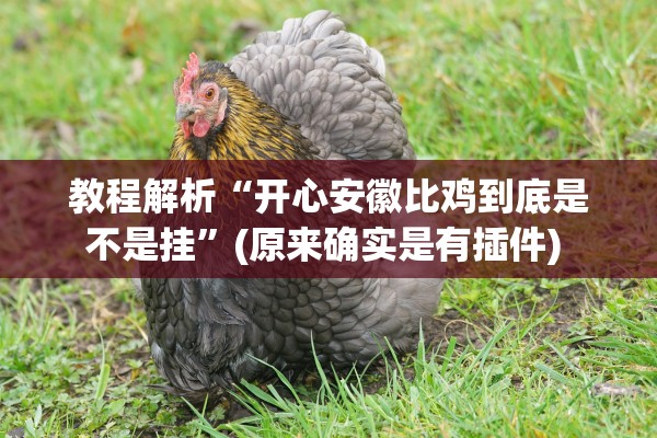 教程解析“开心安徽比鸡到底是不是挂”(原来确实是有插件) 