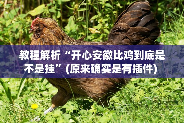 教程解析“开心安徽比鸡到底是不是挂	”(原来确实是有插件) 